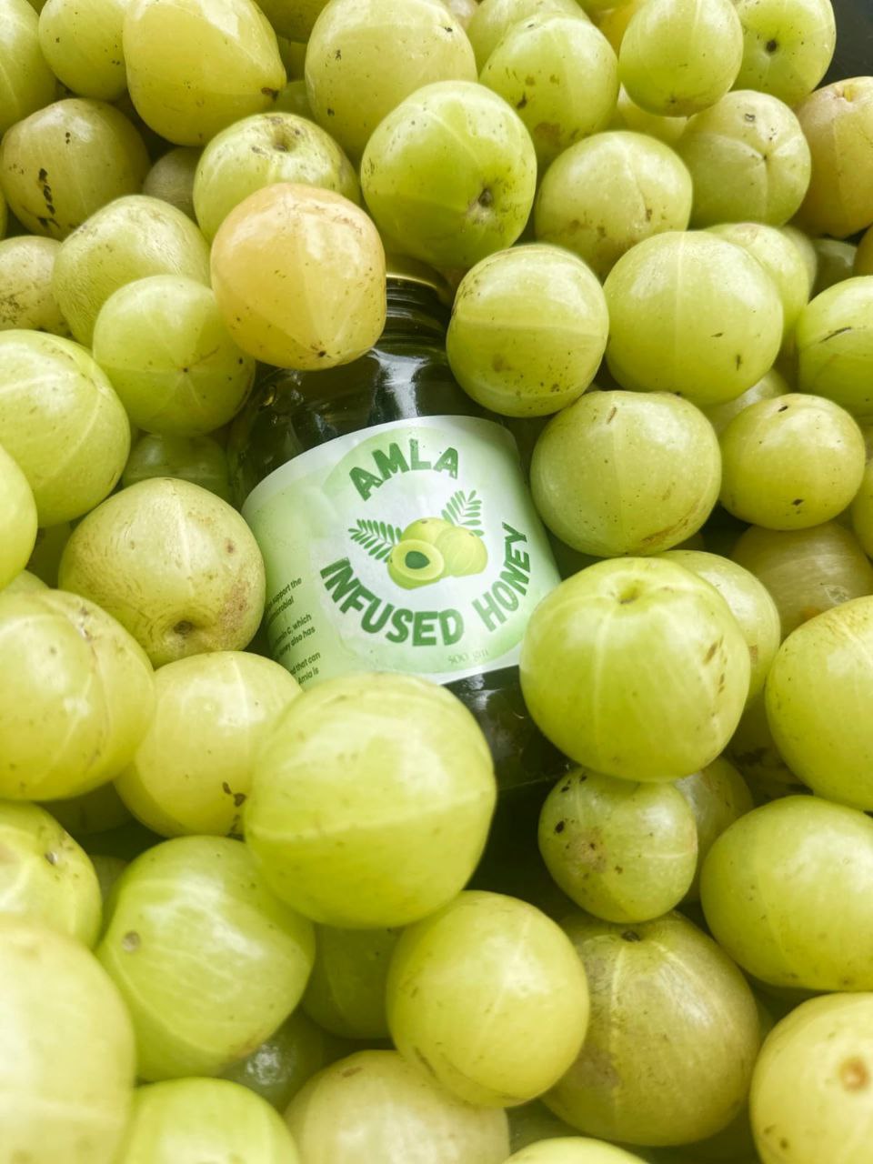 AMLA HONEY